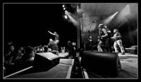 Strange Festival - Ramoneurs de Menhirs - photo n°146