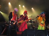 Strange Festival - Marcel Et Son Orchestre - photo n°259